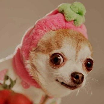 A cover of "A funny" cluster. The owner is kellyclement. The cluster consists of 1 element.