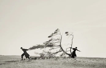 A cover of "made to move" cluster. The owner is leostudios. The cluster consists of 44 elements.