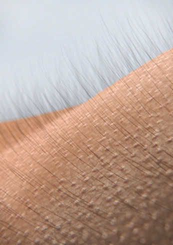 A cover of "Random conceptual images" cluster. The owner is jennabritt. The cluster consists of 1 element.