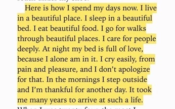 A cover of "document" cluster. The owner is anjawesthues. The cluster consists of 2 elements.