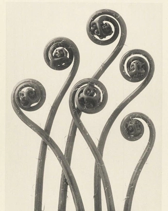 A cover of "organic matter" cluster. The owner is bananababy. The cluster consists of 31 elements.