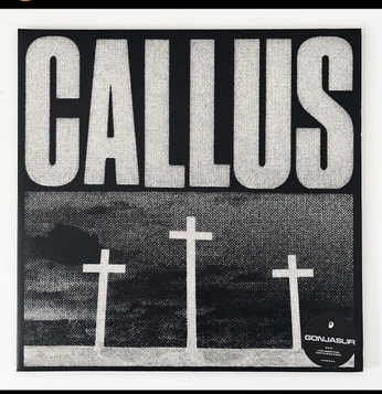 A cover of "music" cluster. The owner is e.crusells. The cluster consists of 1 element.