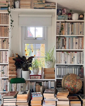 A cover of "Someday" cluster. The owner is lientje. The cluster consists of 1 element.