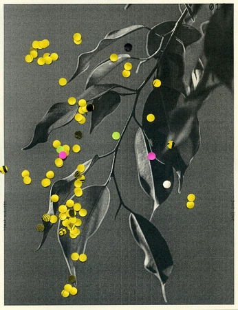 A cover of "Collage" cluster. The owner is maguitosonrics. The cluster consists of 40 elements.