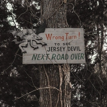 A cover of "cryptidcore" cluster. The owner is webalien1. The cluster consists of 94 elements.