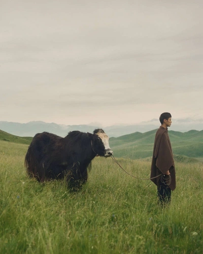 An Instagram  post added by cosmos on Nov 20, 2023. The author is @kinbykin. May present: grassland, dyal thak, tibetan plateau, sky, cloud.