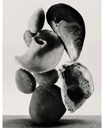 A cover of "." cluster. The owner is bashh. The cluster consists of 2 elements.