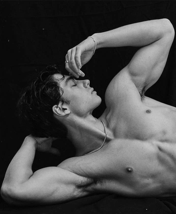 A cover of "anatomy refs" cluster. The owner is noxisuppose. The cluster consists of 37 elements.