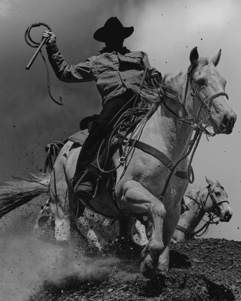 A cover of "western" cluster. The owner is coileansheridan. The cluster consists of 11 elements.