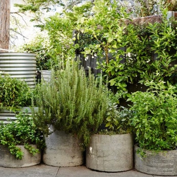 A cover of "verte" cluster. The owner is artbylorraine. The cluster consists of 55 elements.