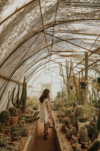 A cover of "magic world" cluster. The owner is nimviolet. The cluster consists of 112 elements.