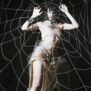 A cover of "TMA Web" cluster. The owner is several2many. The cluster consists of 16 elements.