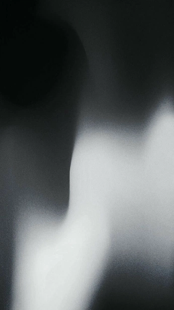 A cover of "Gradients" cluster. The owner is fujiiibrian. The cluster consists of 1 element.