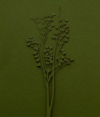 A cover of "Gr" cluster. The owner is aksee.n. The cluster consists of 3 elements.