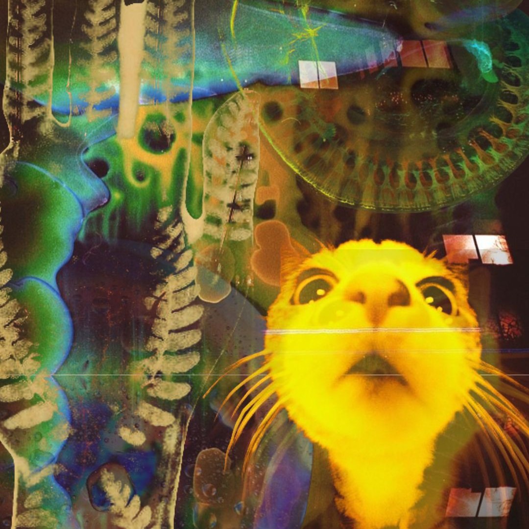 wallpaper and widget