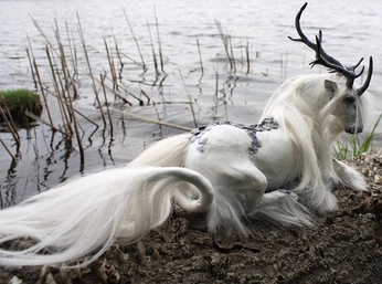 A cover of "Enchantment" cluster. The owner is vangoghgoghboots. The cluster consists of 12 elements.