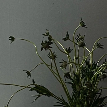 A cover of "sweet things" cluster. The owner is mariatraversa. The cluster consists of 123 elements.