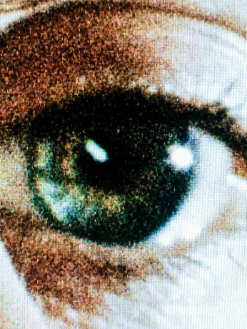 A cover of "Photo Texture" cluster. The owner is mr300. The cluster consists of 18 elements.