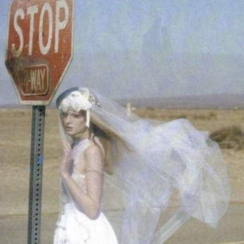 A cover of "vid" cluster. The owner is scarletjm. The cluster consists of 16 elements.