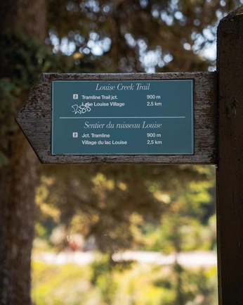 A cover of "Way-finding" cluster. The owner is julietamaria. The cluster consists of 8 elements.