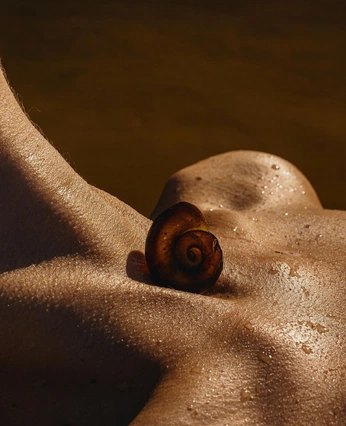 A cover of "Breathe" cluster. The owner is indiawoodall. The cluster consists of 6 elements.