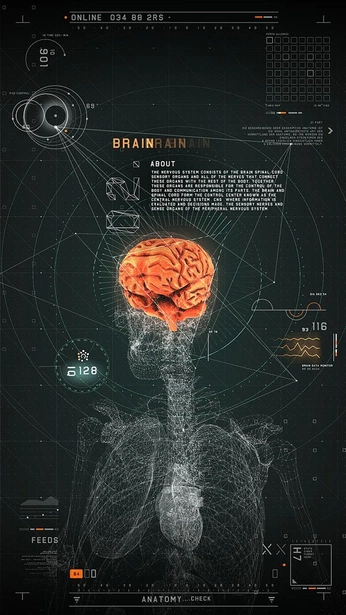 A cover of "Brain" cluster. The owner is leopope. The cluster consists of 1 element.