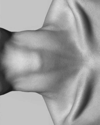 A cover of "human landscape" cluster. The owner is mauss. The cluster consists of 3 elements.