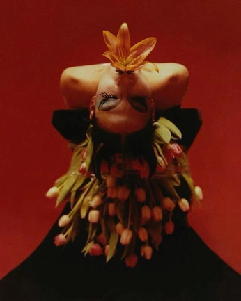 A cover of "Photo" cluster. The owner is annelised. The cluster consists of 15 elements.