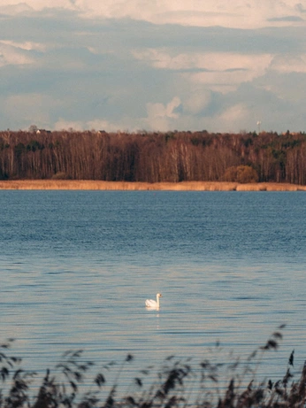 A cover of "PHOTOGRAFY" cluster. The owner is natanllewellyn. The cluster consists of 4 elements.