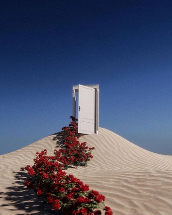 A cover of "surreal" cluster. The owner is deldell. The cluster consists of 1 element.