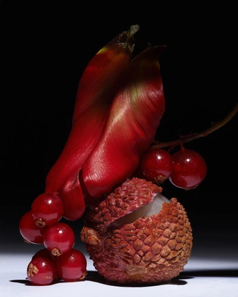 A cover of "Restaurant" cluster. The owner is tonez. The cluster consists of 5 elements.