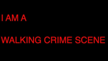 A cover of "final girl" cluster. The owner is mxvalentine. The cluster consists of 4 elements.