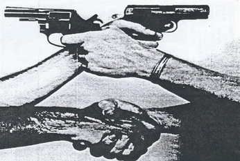 A cover of "White Noise" cluster. The owner is noa222. The cluster consists of 23 elements.