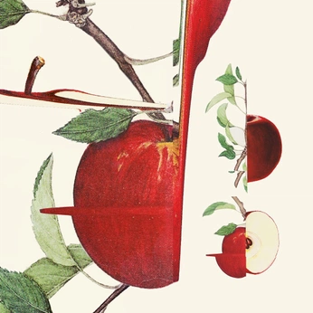 A cover of "Illustration" cluster. The owner is vasilievamotion. The cluster consists of 7 elements.