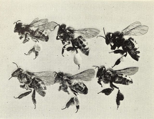 An Instagram carousel post added by colindancel on Apr 05, 2023. The author is @3rdritual.