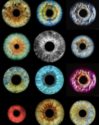 A cover of "Color Blindness" cluster. The owner is virtuo. The cluster consists of 5 elements.