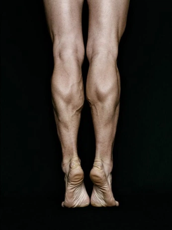 A cover of "Sketching Daily Refs" cluster. The owner is miraskas. The cluster consists of 22 elements.