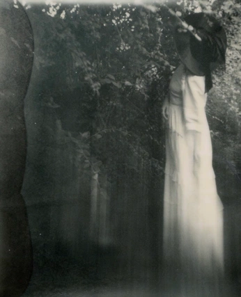 A cover of "artemis aesthetic" cluster. The owner is gracefulnerd. The cluster consists of 5 elements.