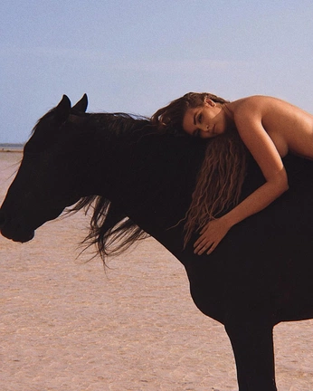 A cover of "Singular Dawn" cluster. The owner is devin01. The cluster consists of 4 elements.