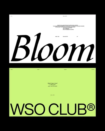 A cover of "DESIGN" cluster. The owner is lootagency. The cluster consists of 40 elements.