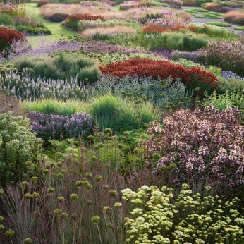 A cover of "Image Ref Veget" cluster. The owner is antonarte. The cluster consists of 251 elements.