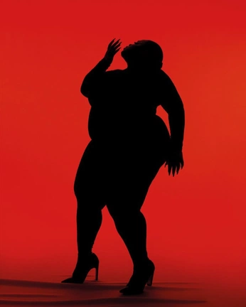 A cover of "Corpus 'Dance'" cluster. The owner is sluijterstudio. The cluster consists of 6 elements.