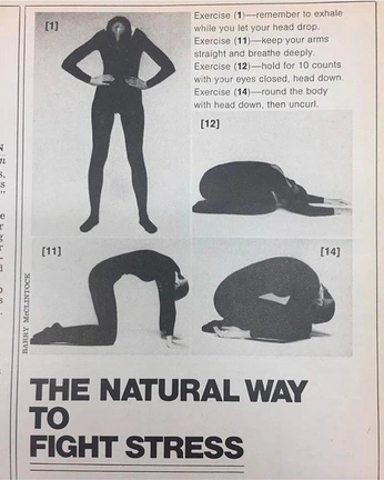 A cover of "movement" cluster. The owner is brittney.jansen. The cluster consists of 4 elements.