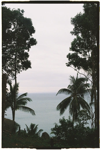 A cover of "photos" cluster. The owner is pheebsfarrell. The cluster consists of 10 elements.