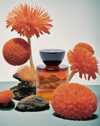 A cover of "still life" cluster. The owner is mimmistrand. The cluster consists of 17 elements.