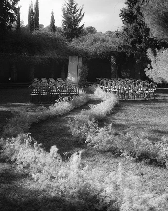 A cover of "Love" cluster. The owner is bydamora. The cluster consists of 29 elements.