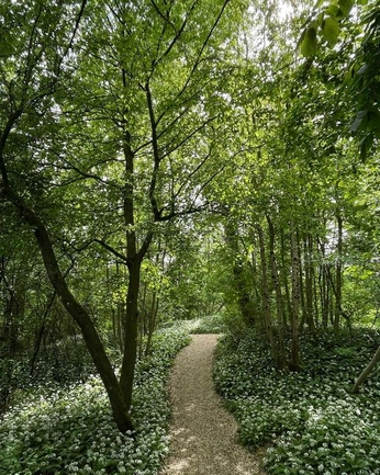 A cover of "mother" cluster. The owner is mirisol. The cluster consists of 5 elements.