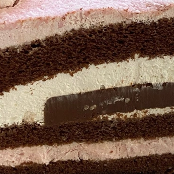 A cover of "IMG_4750.png" cluster. The owner is jvngkook. The cluster consists of 8 elements.