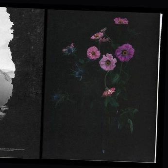 A cover of "plant" cluster. The owner is lisao. The cluster consists of 7 elements.