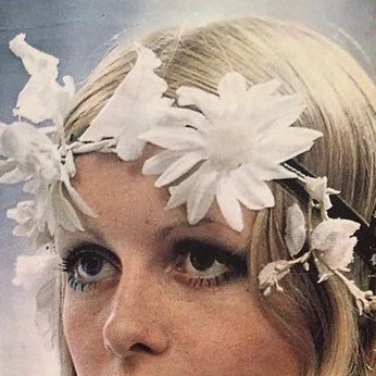 A cover of "🕊️" cluster. The owner is mascandorfemme. The cluster consists of 2 elements.